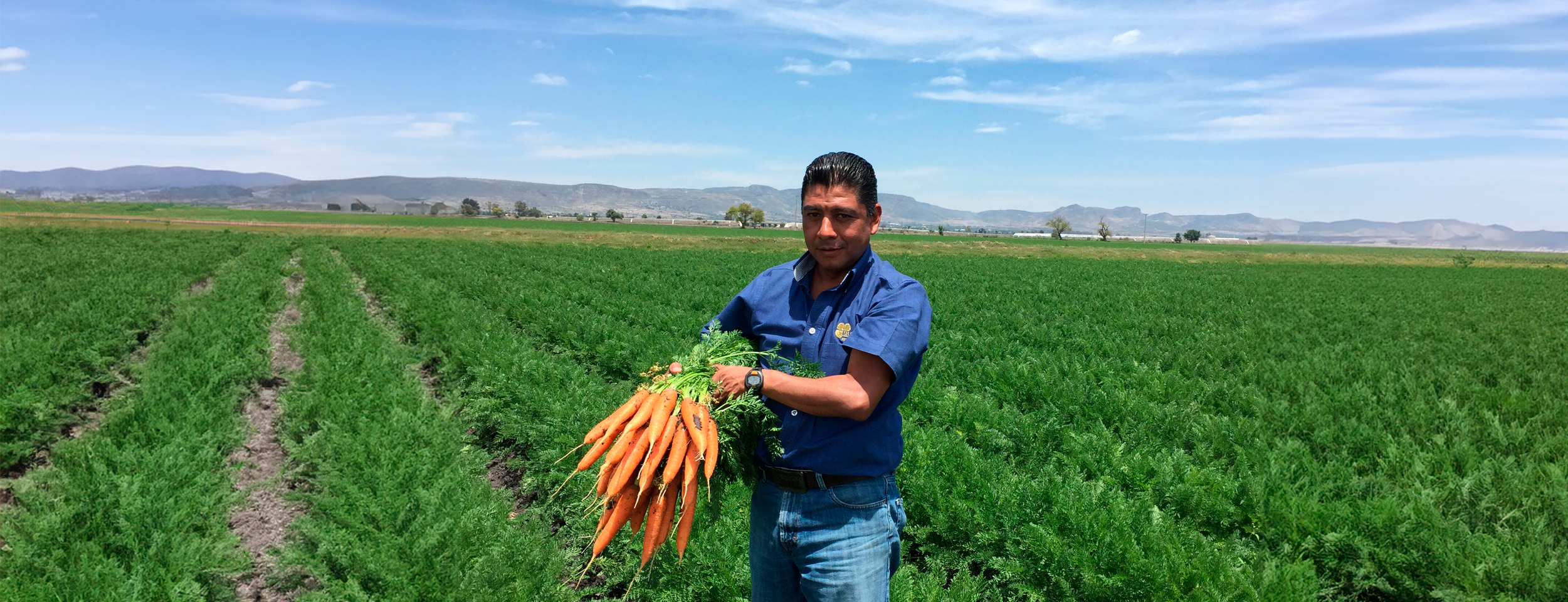 Expertos en semillas de hortalizas en México