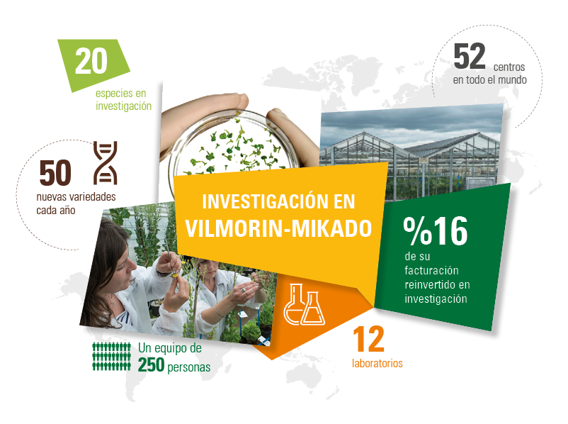 VMK_investigacion