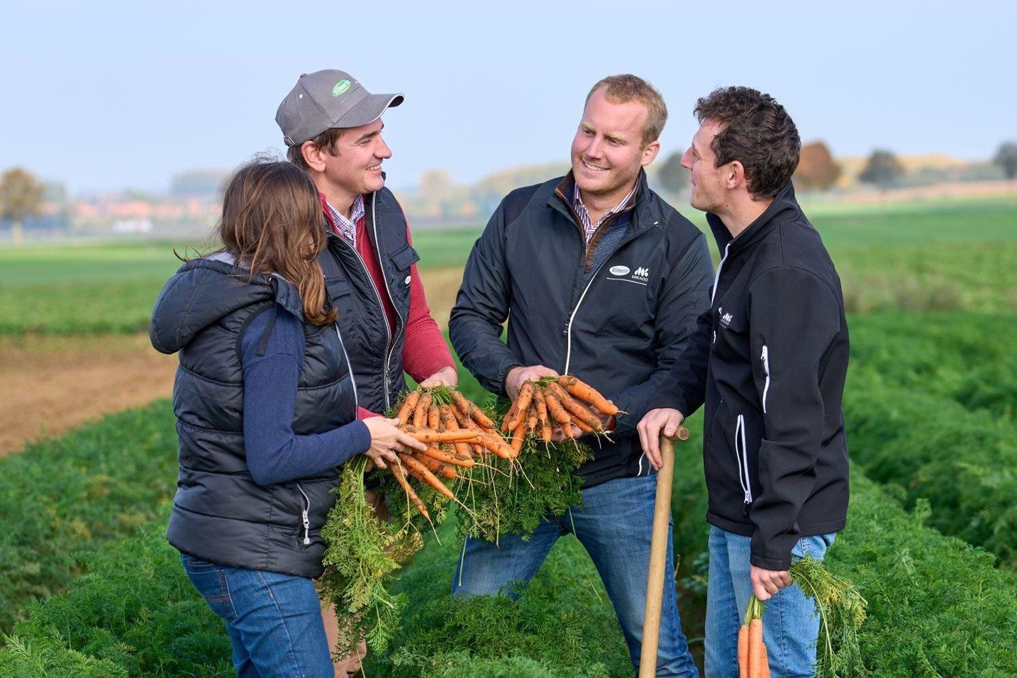 Expertos Vilmorin-Mikado en los campos de Zanahoria