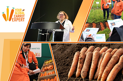 3er Simposio Internacional de la Zanahoria: La gama de zanahorias de Vilmorin-Mikado