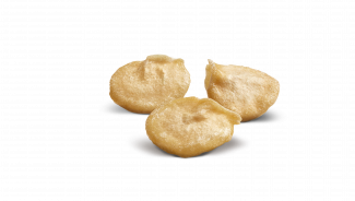 Semillas chile Vilmorin-Mikado 