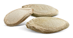 VilmorinMikado seed kabocha