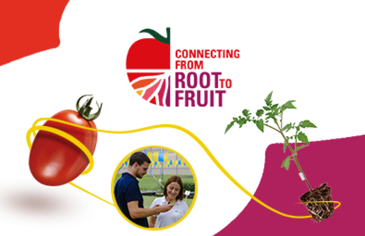 ConectandoDesdeLaRaizHastaElFruto_ImagenPrincipal