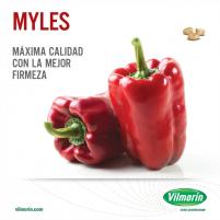 Pimiento dulce