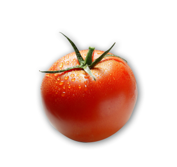 Tomate