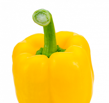 E9299 variedad vilmorin pimiento 