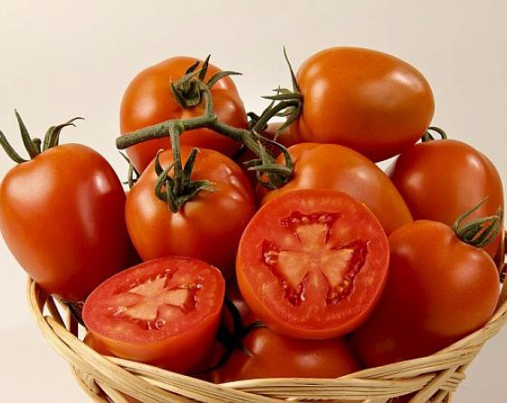 Aguamiel tomate Vilmorin experto semillas mexico Aguamiel tomate Vilmorin experto semillas mexico
